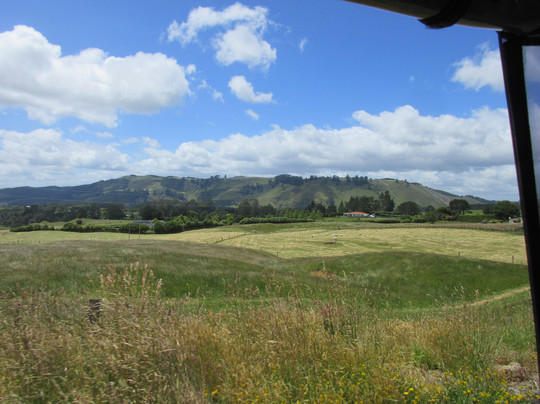 Rotorua Rail Cruising-罗托鲁瓦必去景点