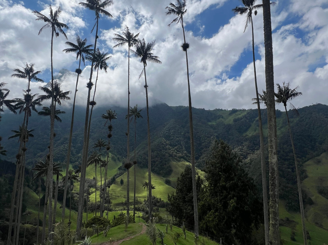 Rutas Cafeteras Tours-Circasia必去景点