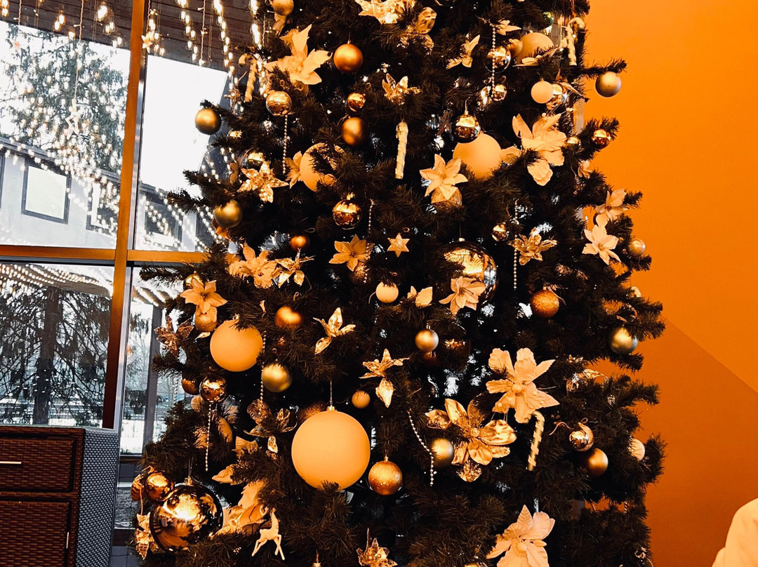 Russkie Sezony Kurort Peresvet .Komfort Hotel主图