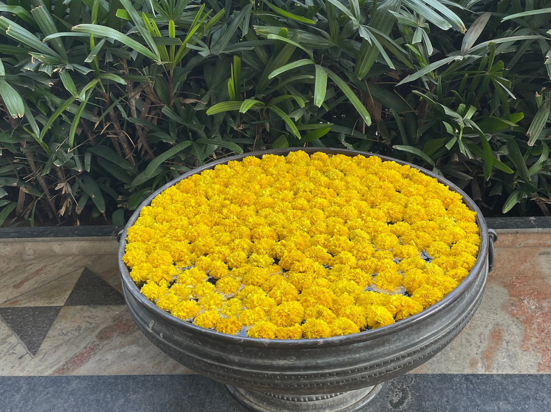 Hotel Hillock Ahmedabad主图