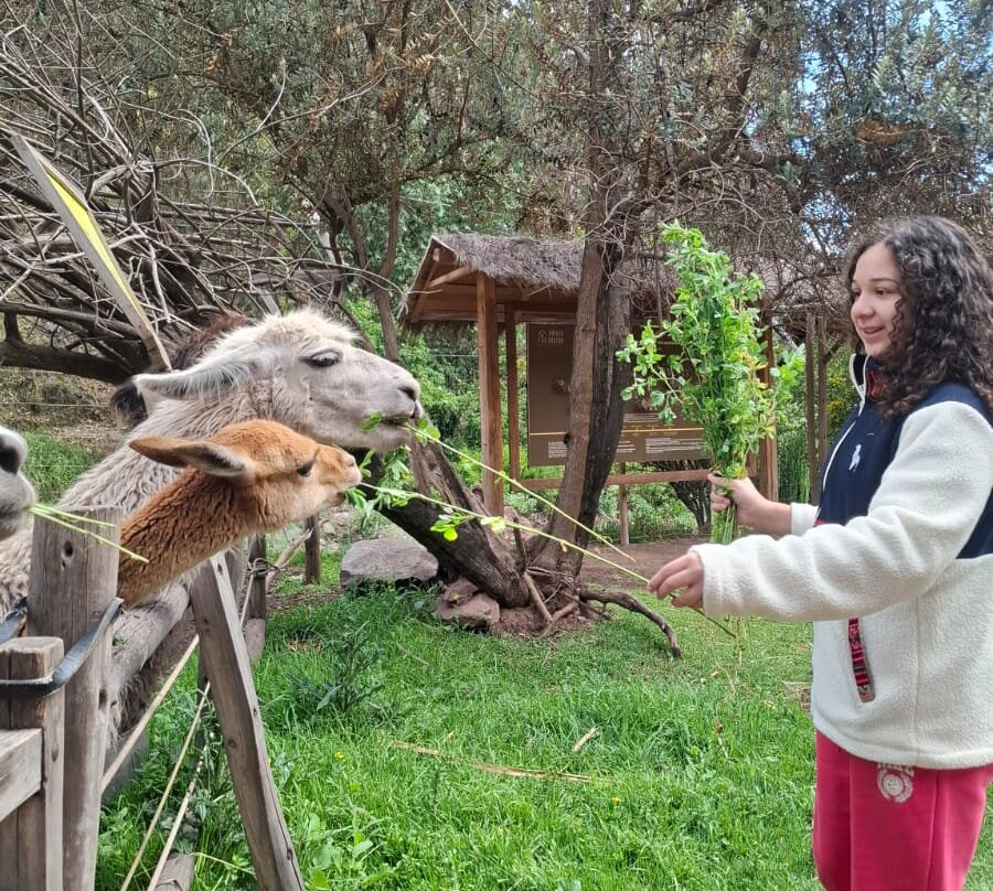 Leading Perú Travel-San Sebastian必去景点