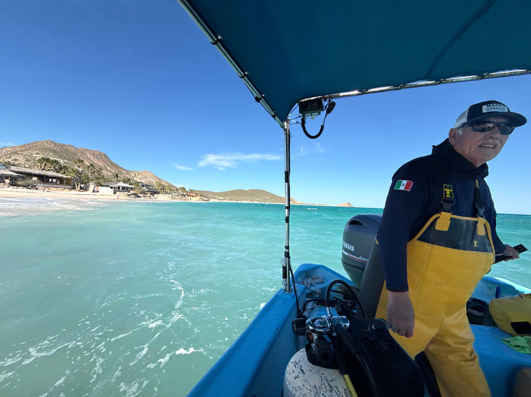 Dive Cabo Pulmo-Cabo Pulmo必去景点