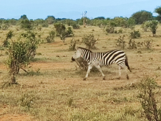 Girasole Tours And Safaris-瓦塔木必去景点