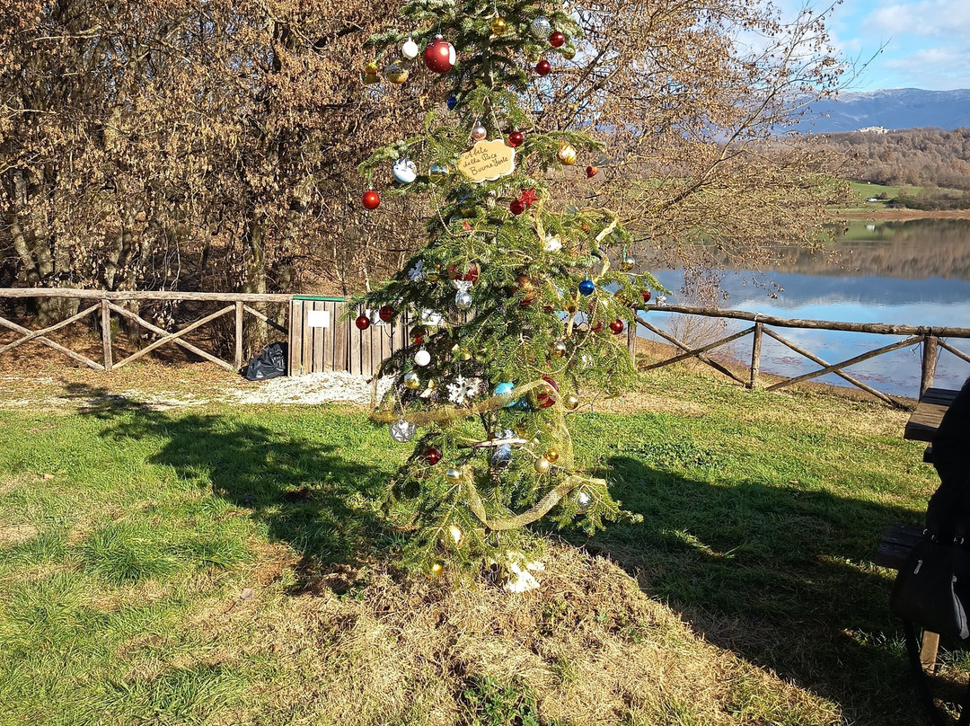 Borgo Medievale di Fiuggi-菲乌吉必去景点