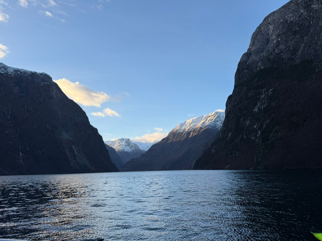 FjordSafari-弗洛姆必去景点