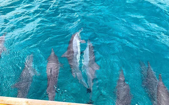 PÉ NA ILHA NORONHA-费尔南多-迪诺罗尼亚群岛必去景点