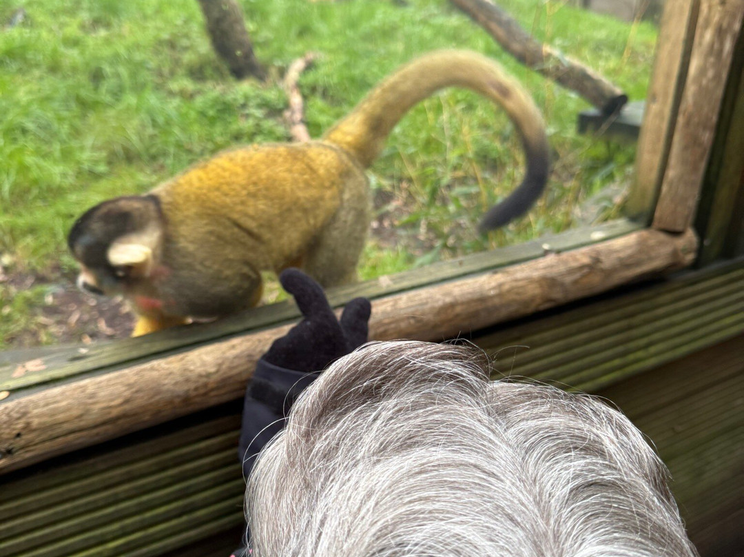 Hemsley Conservation Centre-Fairseat必去景点