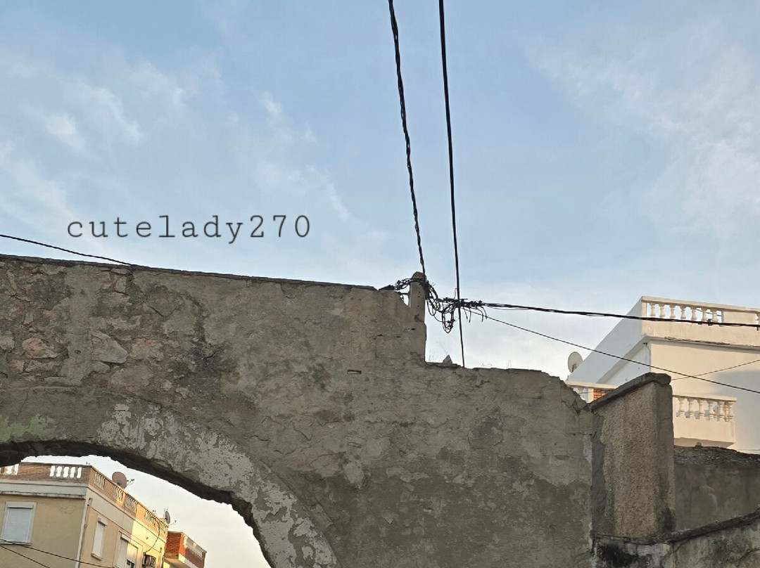 Guelma Roman Theatre-Guelma必去景点