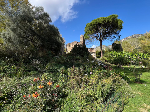 Discovery Tours-Trevignano Romano必去景点