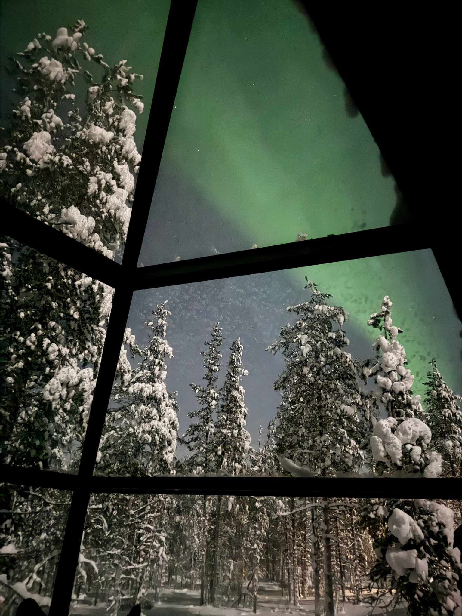 Aurora Queen Resort-官方