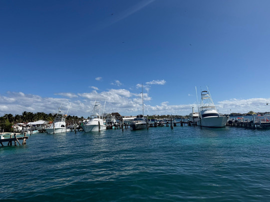 Cancun Adventures - Luxury Sailing & Snorkeling-普拉亚德尔卡曼必去景点