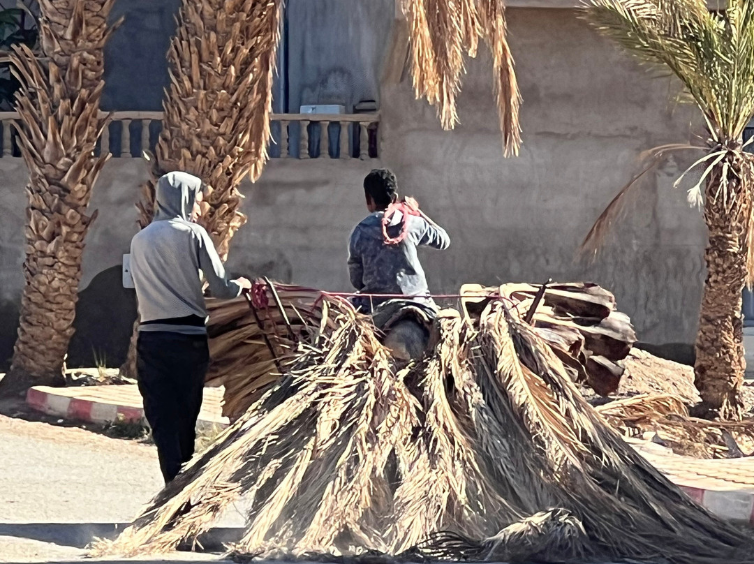 Redouane Sahara Tours-伊拉悉迪亚必去景点