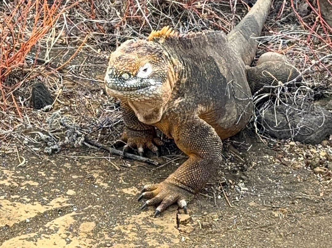 Fragata Yacht-Baltra必去景点