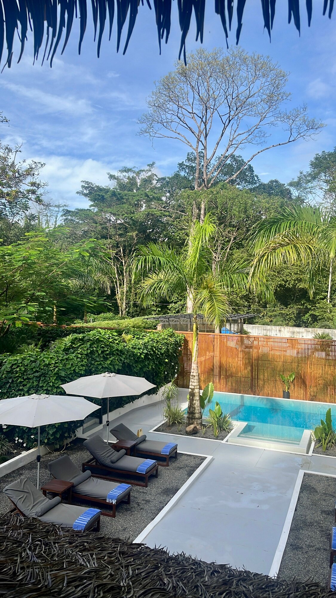 Vayu Retreat Villas-泳池