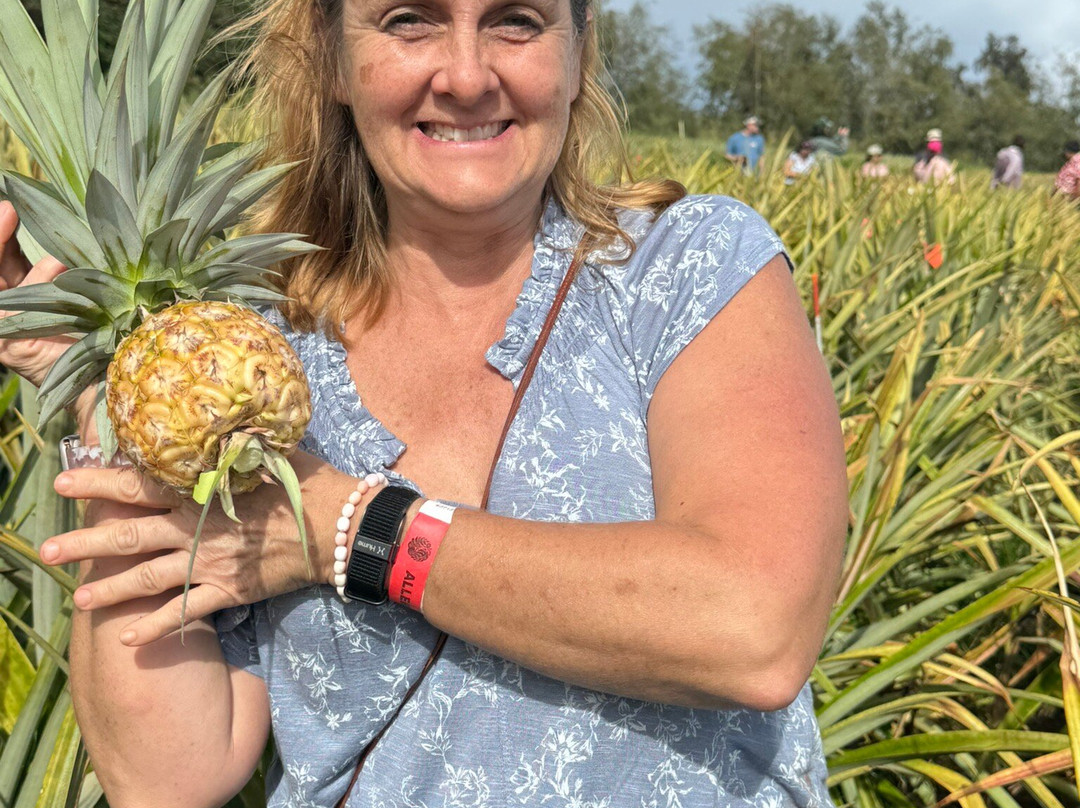 Sugarloaf Pineapple Farm-基拉韦厄必去景点