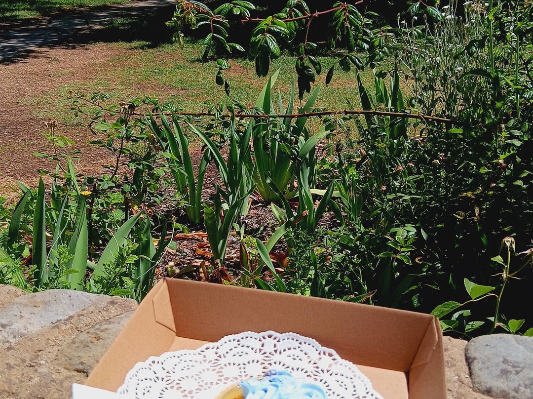 Around And About-威廉斯镇必去景点