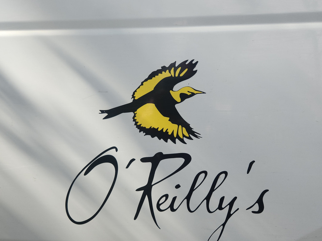 Fun Over Fifty-布里斯班必去景点