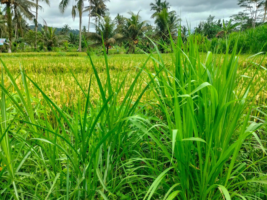 Sidemen Tour and Trekking-席德门必去景点