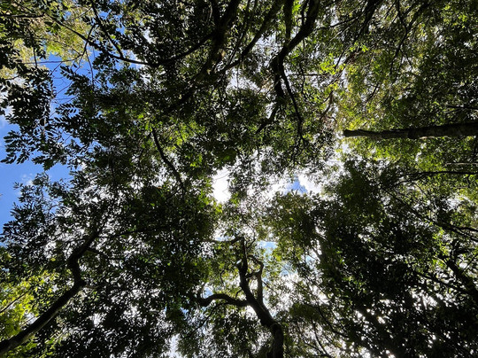 Morro Ferrabraz-Sapiranga必去景点