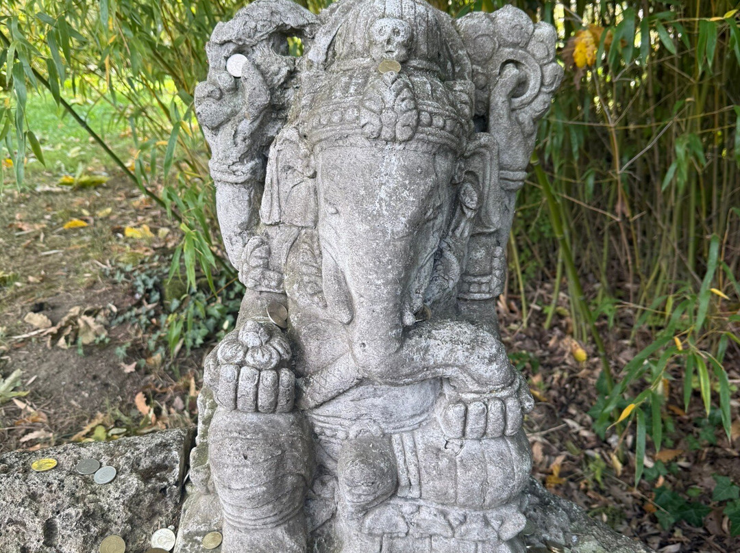 Botanical Garden of the University of Szeged-塞格德必去景点