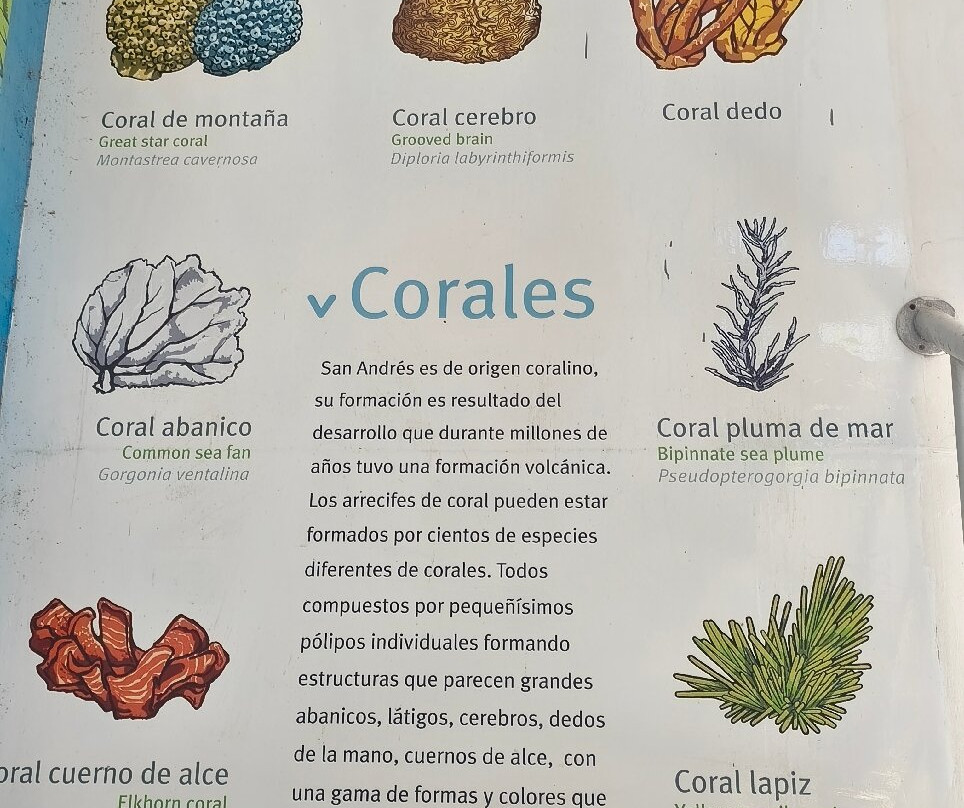 Jardín Botánico de San Andrés-圣安德烈斯必去景点