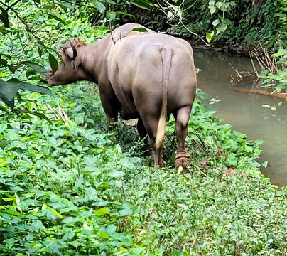 RaimondReise-巴拉德罗必去景点