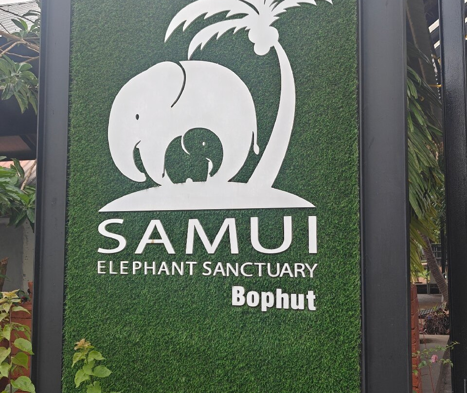 Samui Elephant Sanctuary-波普特必去景点