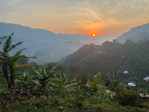 Allanblackia safaris-恩德培必去景点