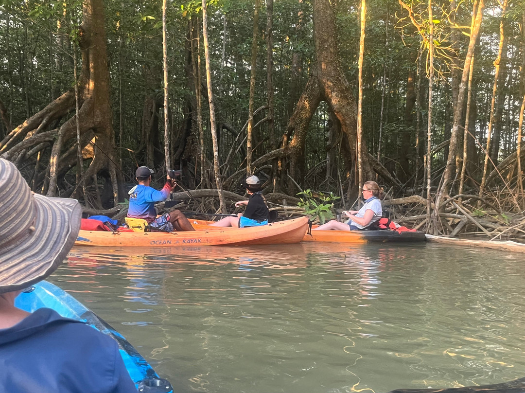 Pineapple Tours-主日镇必去景点