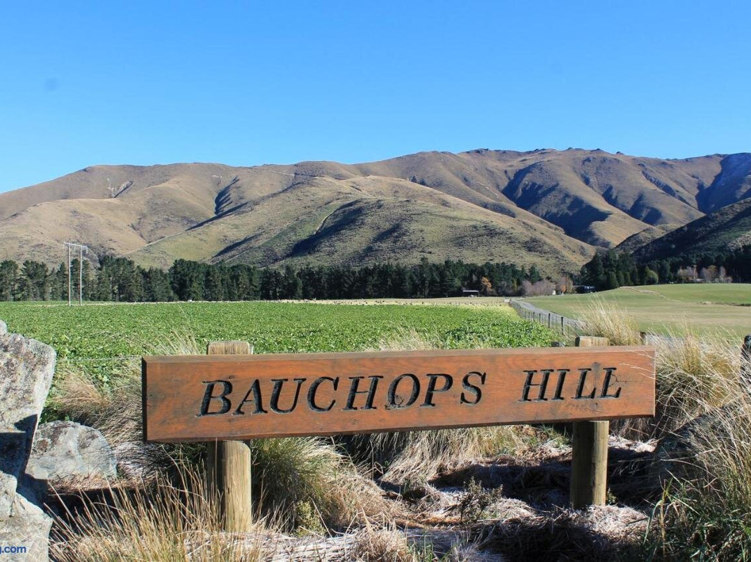 Bauchops Hill Station Farmstay