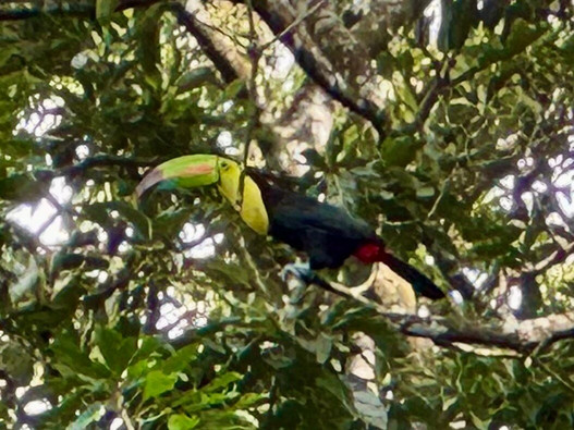 Miravalles Mountain View-Bijagua de Upala必去景点