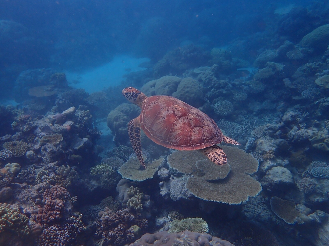 波长礁-道格拉斯港必去景点