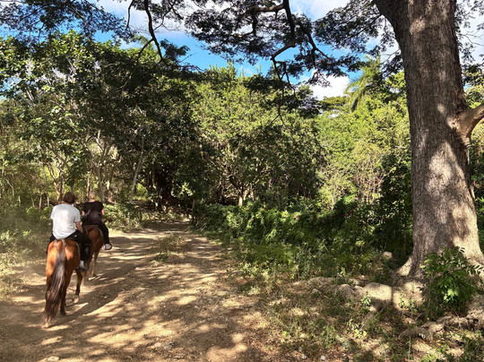 Horseback Riding Tours-特立尼达必去景点