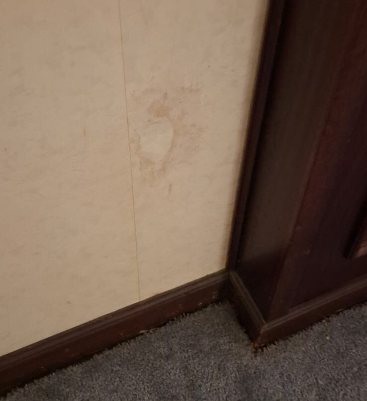 诺贝尔套房埃克塞尔苏联酒店主图