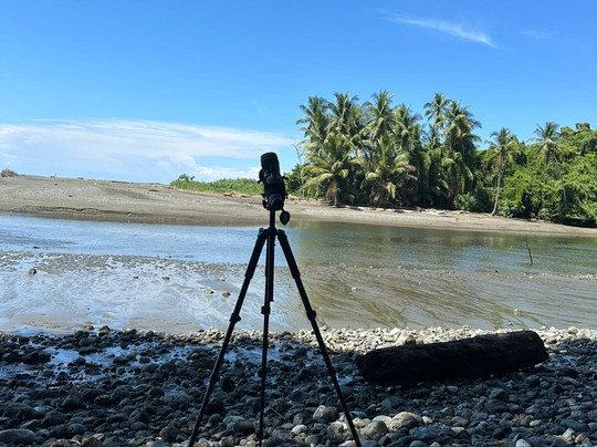 Costa Rica Wild Expeditions-希门尼斯港必去景点