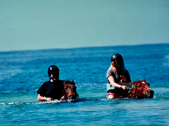 Nexus Tours-蒙特戈贝必去景点