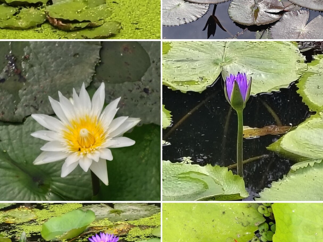 Horizon Vietnam Travel-河内必去景点