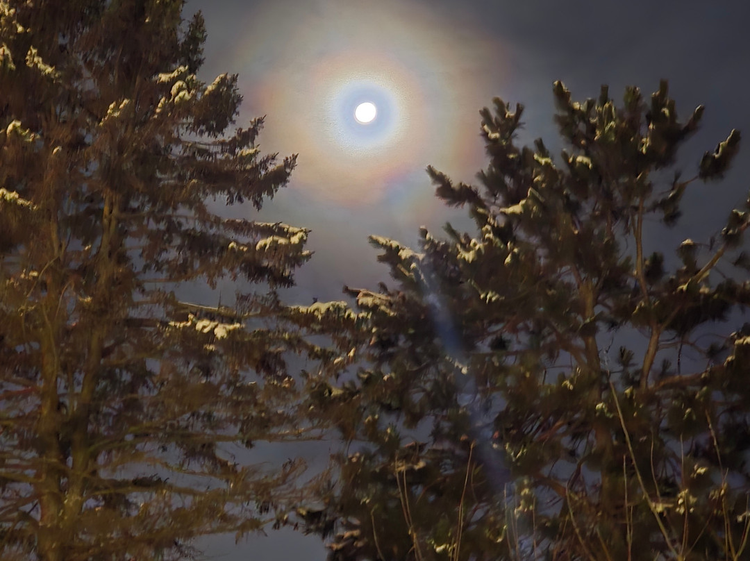 Hampton Inn & Suites Menomonie主图