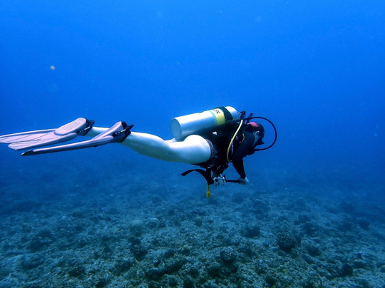 Orca Dive Club - Pereybere-Pereybere必去景点