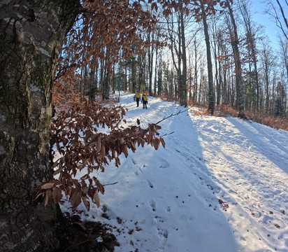 Mega Tiroliana Bucovina 2.2km-Gura Humorului必去景点