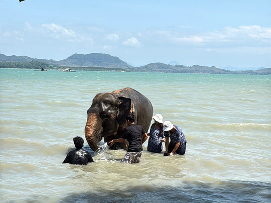 Koh Yao Elephant Beach-阁耀亚伊岛必去景点