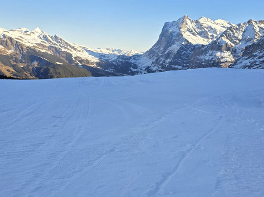 Altitude Ski & Snowboard School-格林德瓦必去景点