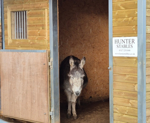 Barnhill Donkeys Retreat Sleagill-Sleagill必去景点