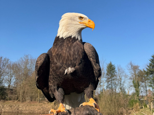 Topvogel-Diessen必去景点