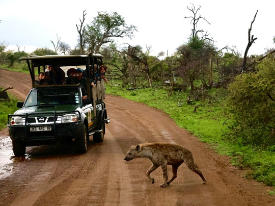 SAFARI, DRIVE & DIVE TOURS-Inhambane必去景点