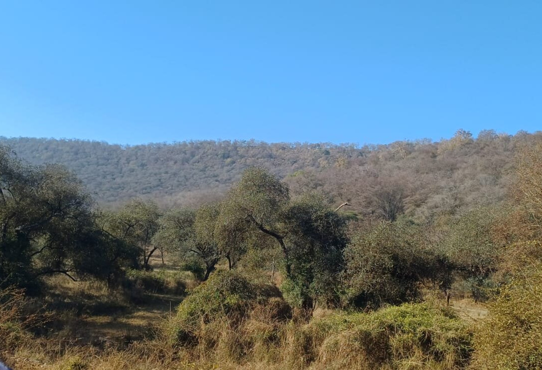 Sariska National Park-Sariska必去景点