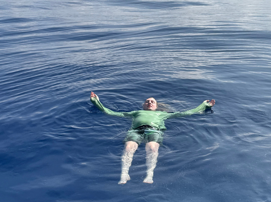 Da Whale Boat: Big Island Humpback Adventures-卡威哈也必去景点