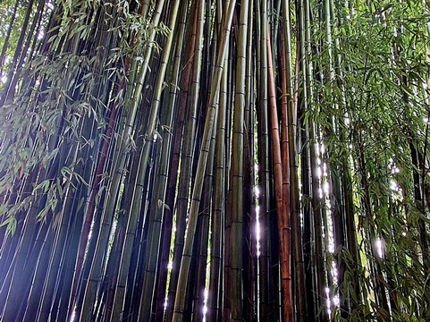 Casa Macchi-Morazzone必去景点