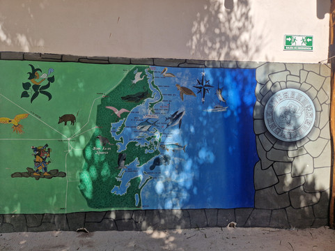 Blue Caribe-艾库玛尔必去景点