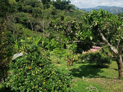Jaramillo's Coffee-Marsella必去景点